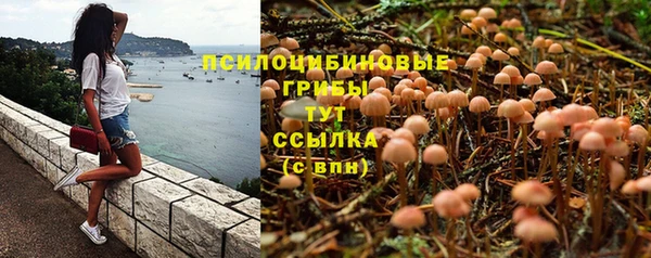 ALPHA PVP Абаза