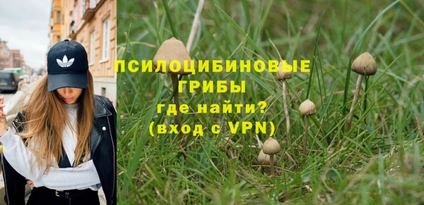 ГАЛЛЮЦИНОГЕННЫЕ ГРИБЫ Абинск
