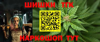 мдпв Лесосибирск