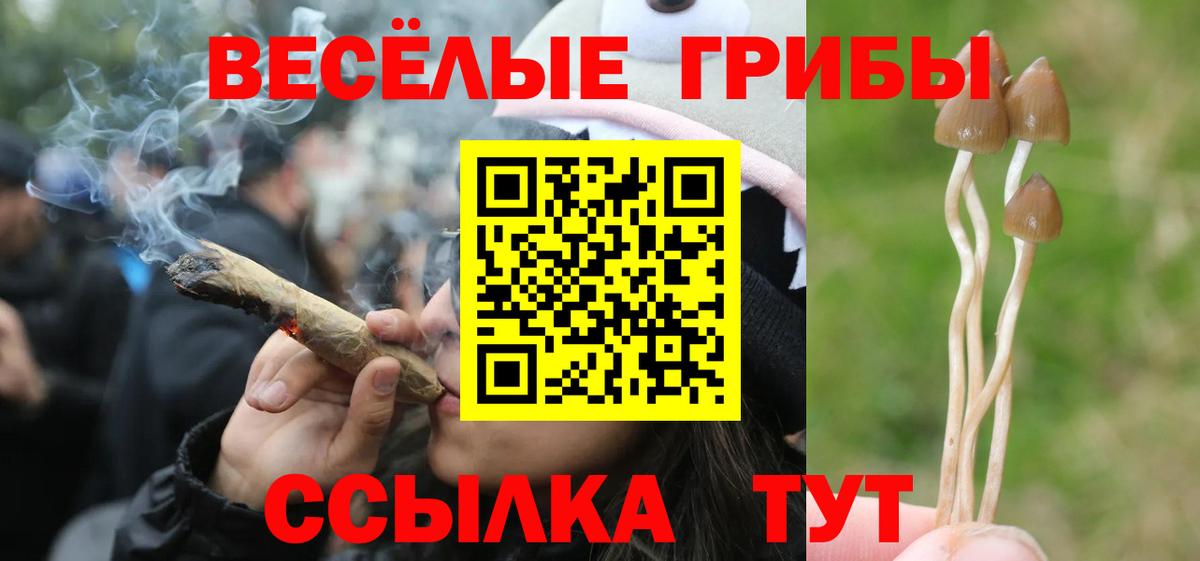 Псилоцибиновые грибы Psilocybine cubensis  Вход с VPN  Заринск 